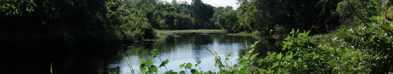 Camp Bayou Outdoor Learning Center