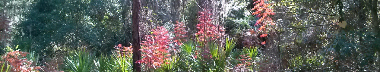 Camp Bayou Outdoor Learning Center